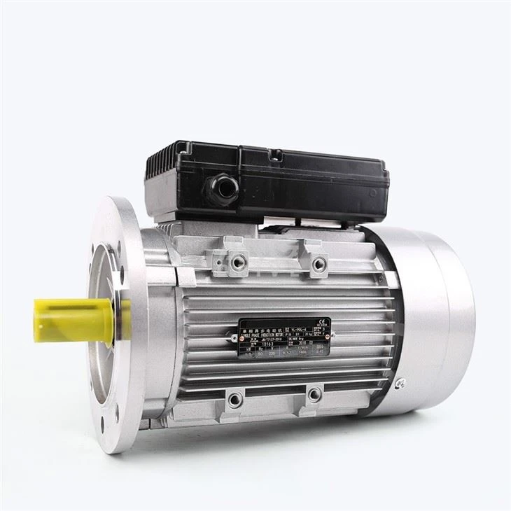 Door Motor