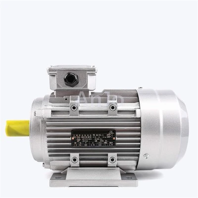 MS series electric motor MS series electric motor